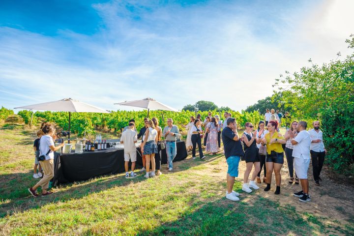 Group of people mingling outdoors near a refreshment table in a vineyard.