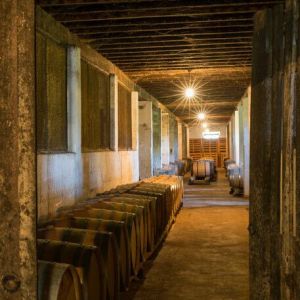 Long corridor with wooden barrels and overhead lights in a dimly lit room.