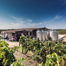 Vineyard landscape with a modern winery building and metal silos under a clear blue sky.