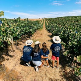 Family in matching shirts and hats in vineyard overlooking vines under blue sky.
