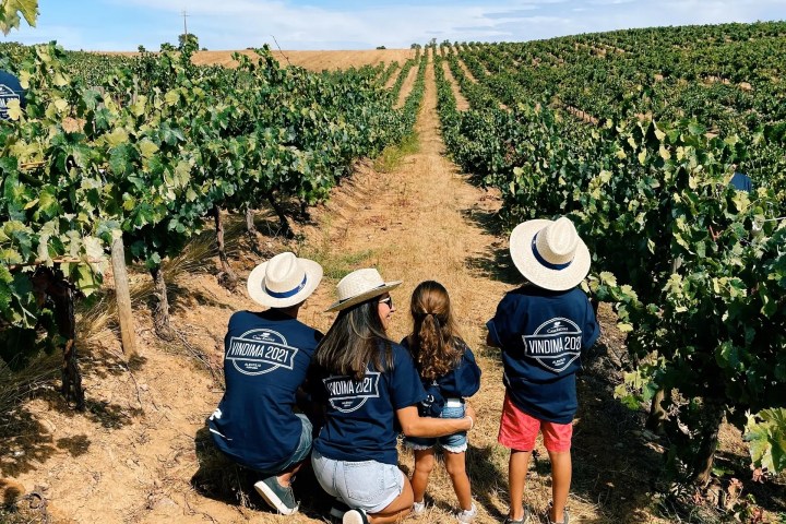 Family in matching shirts and hats in vineyard overlooking vines under blue sky.