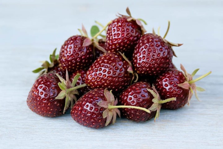 Pile of ripe, dark red strawberries on a light wooden surface.