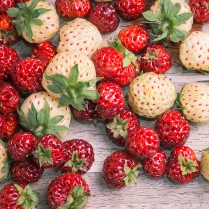 Assorted ripe and unripe strawberries on a wooden surface.
