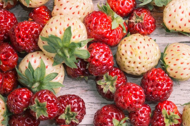 Assorted ripe and unripe strawberries on a wooden surface.