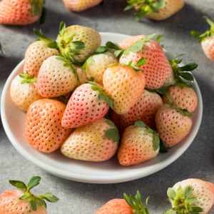 Bowl of pale pink strawberries on a gray surface, surrounded by more strawberries.