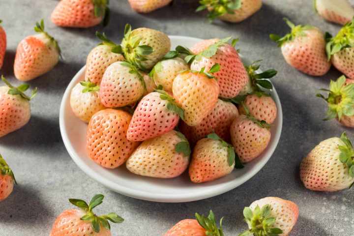 Bowl of pale pink strawberries on a gray surface, surrounded by more strawberries.