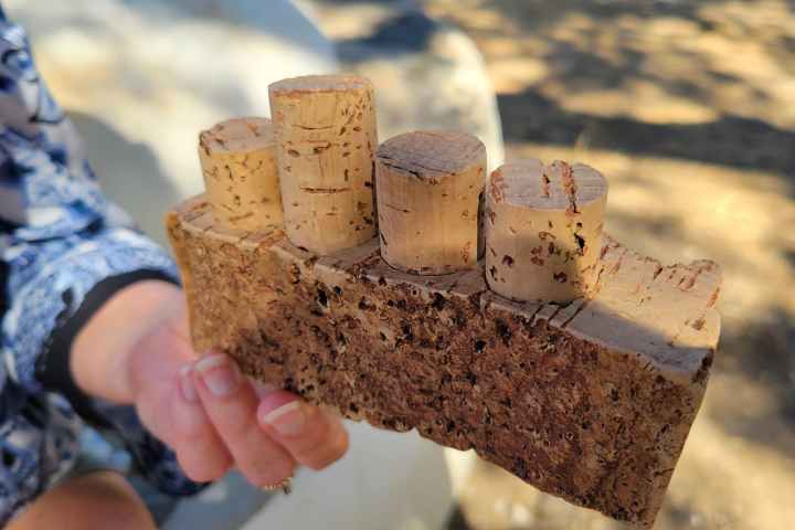 Person holding wooden block with attached corks.