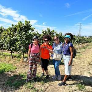Four women standing in a vineyard under a clear blue sky.