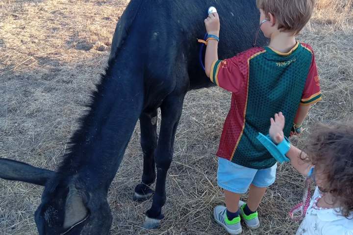 Family meeting a friendly donkey during an Alentejo farm experience