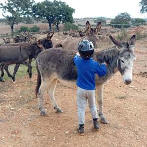 Family meeting a friendly donkey during an Alentejo farm experience