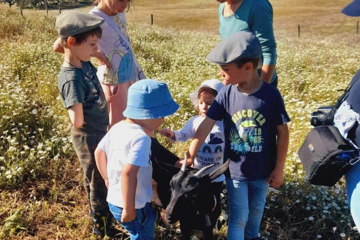 Group of children and a woman petting a black goat in a field.
