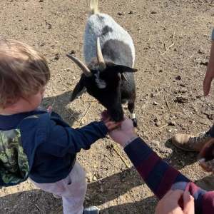 Child feeding a goat while an adult assists, on a dirt ground.