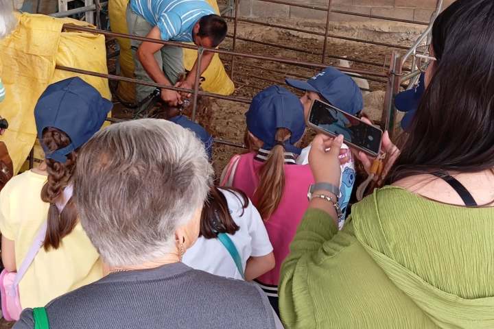 Kids wearing caps watch a man demonstrating in a barn, with two adults observing nearby.
