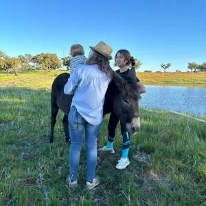 Family meeting a friendly donkey during an Alentejo farm experience