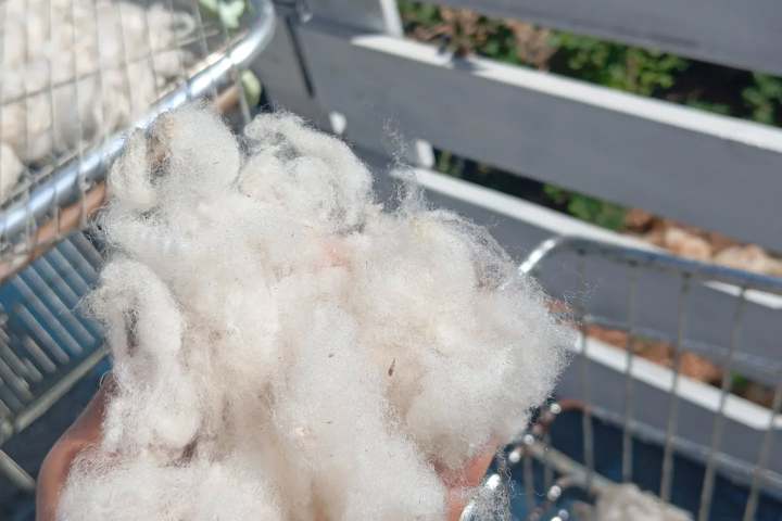 Hand holding fluffy white cotton with baskets in the background.