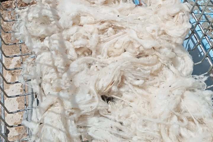 Pile of white raw wool in a metal basket.