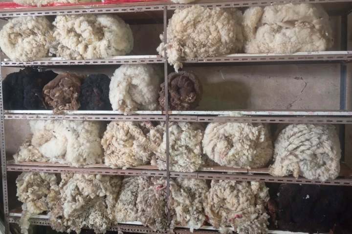 Shelves filled with bales of raw wool in various colors.