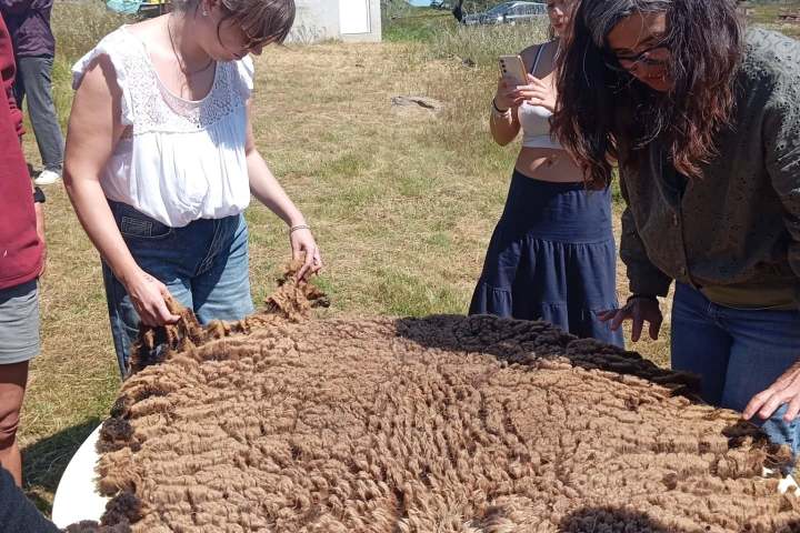 Three women examine a large pile of brown wool outdoors.