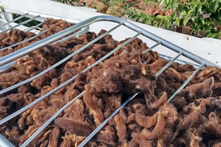 Brown wool drying on a metal rack next to a garden.