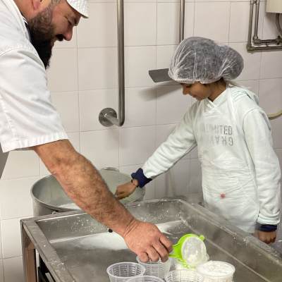 Guest following the cheese making process step by step near Mangualde