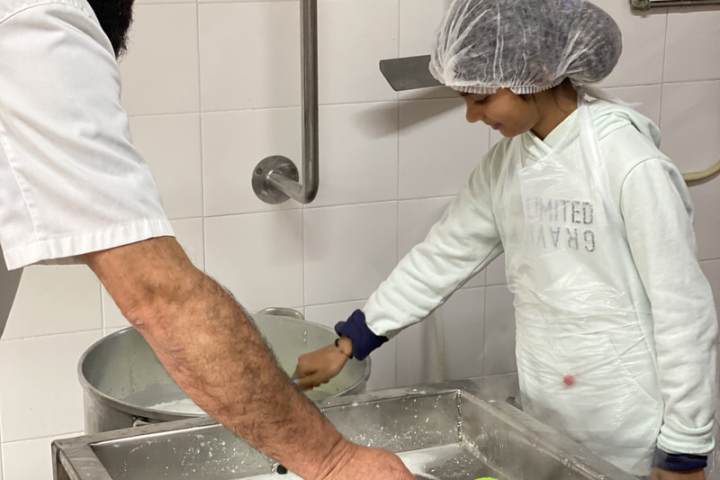 Guest following the cheese making process step by step near Mangualde