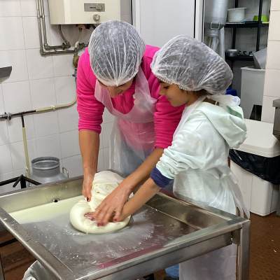 Child shaping fresh Serra da Estrela cheese by hand during a workshop near Viseu