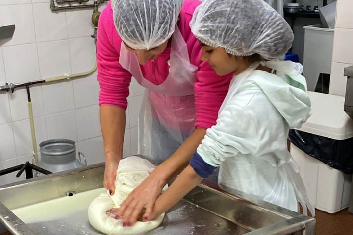 Child shaping fresh Serra da Estrela cheese by hand during a workshop near Viseu