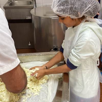 Hands pressing fresh sheep's milk curd in a traditional dairy near Mangualde