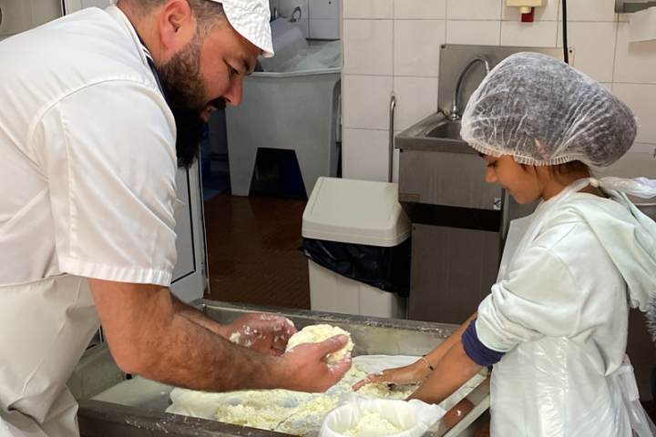 Young guest learning to make Serra da Estrela DOP cheese in the dairy