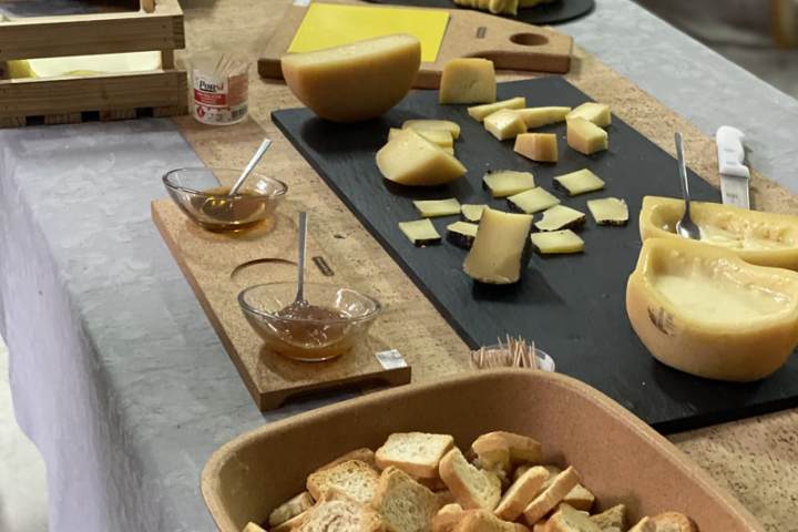 Serra da Estrela cheese tasting with cornbread, honey and requeijão near Viseu