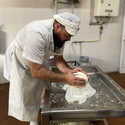 Cheesemaker shaping a Serra da Estrela cheese in a traditional mould