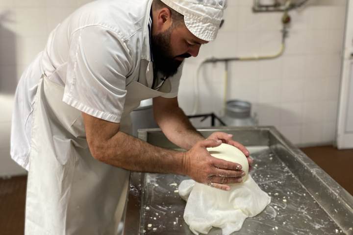 Cheesemaker shaping a Serra da Estrela cheese in a traditional mould